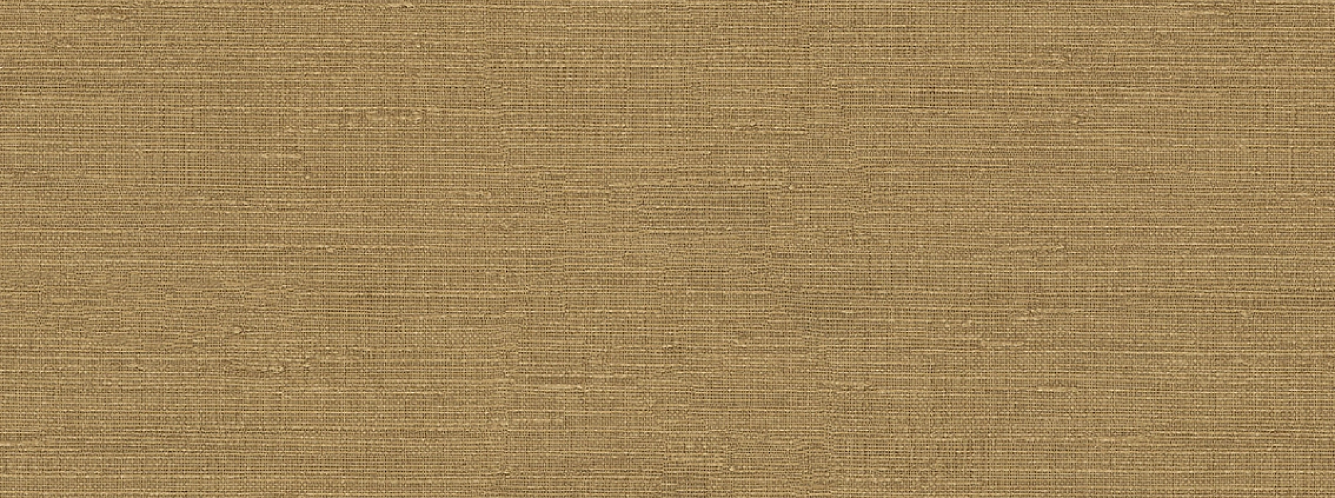 Изображение Emiliana Parati Voyage 73743