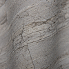 Rasch Curiosity 537024 — картинка №2
