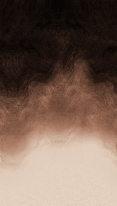 79239-5 Панно AS Creation 159*280, Облачная вуаль шоколад