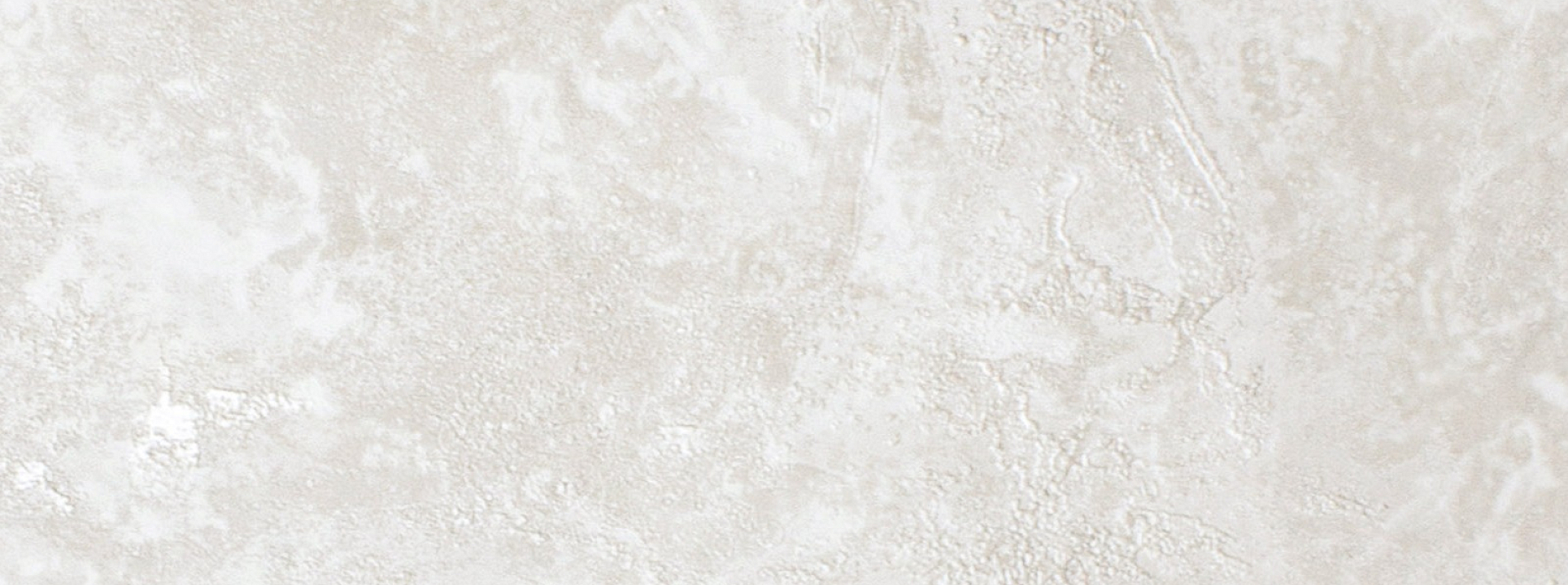 Изображение Rose Фортуна 99816