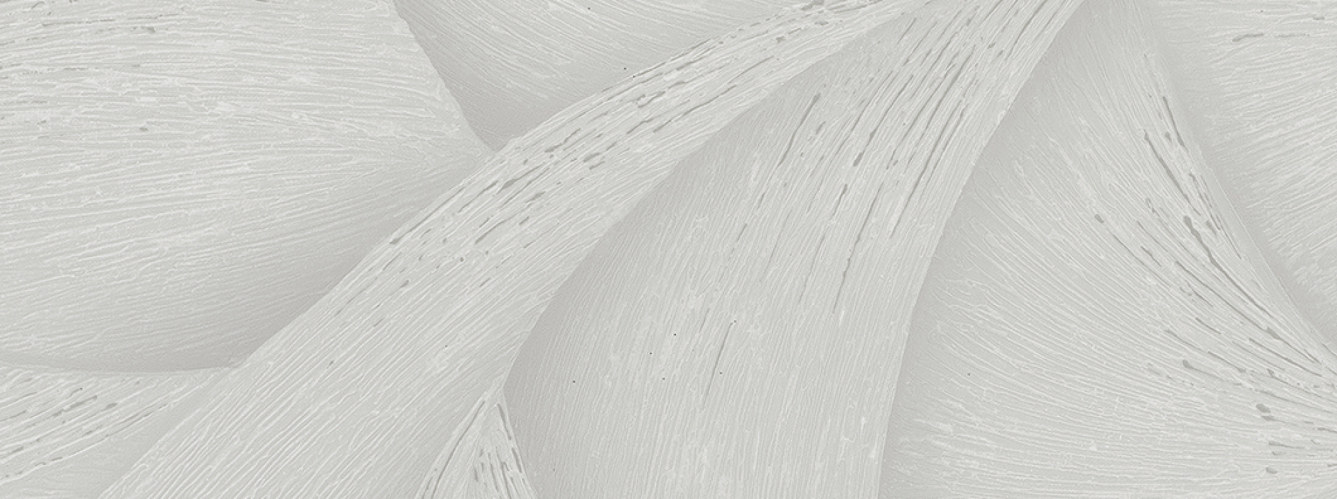Изображение Marburg Ritus 35401