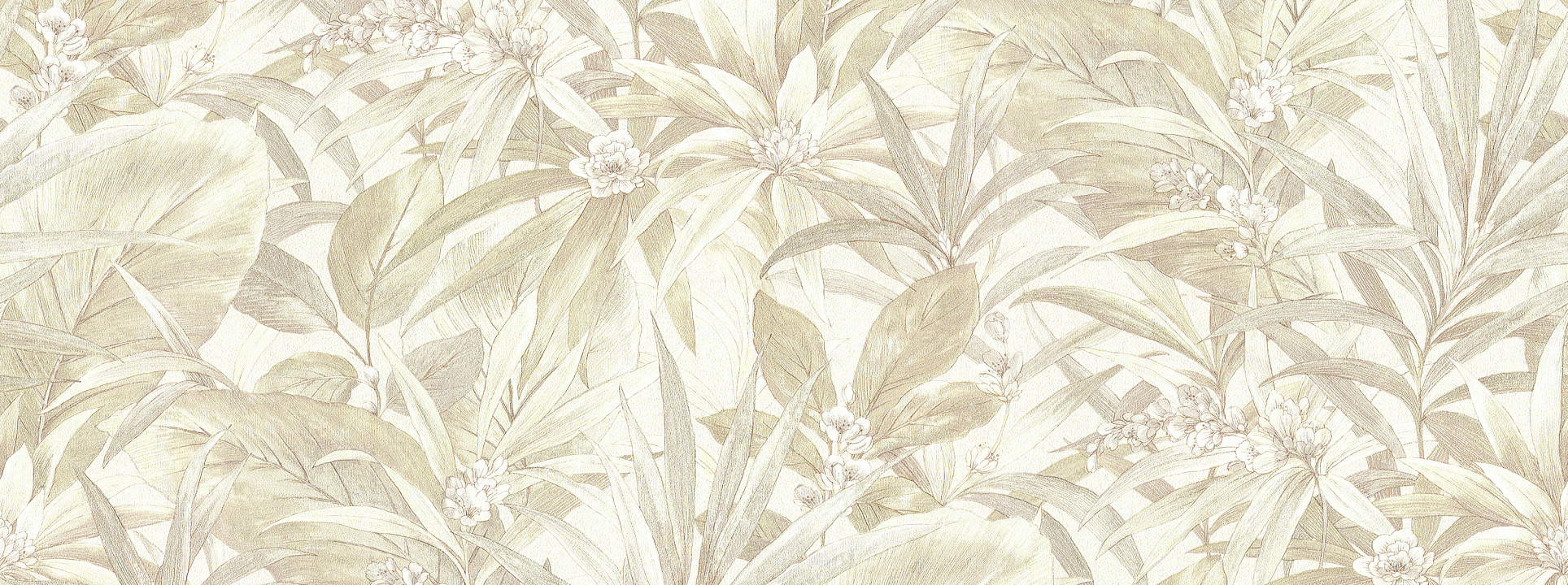 Изображение Alessandro Allori Берти 15047-1