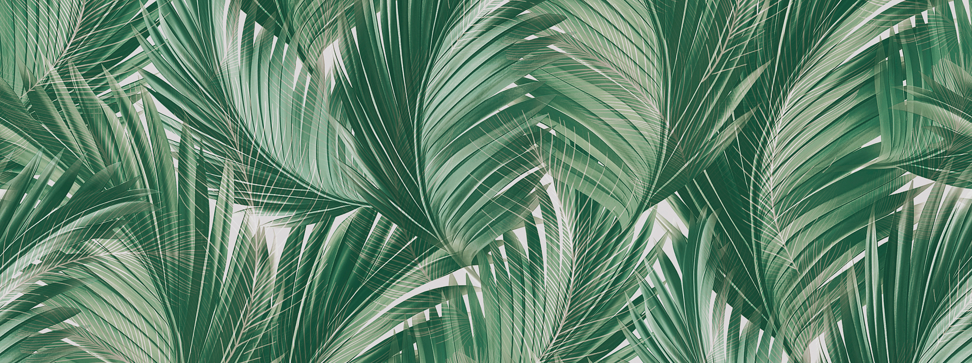 Изображение Solo Estetico 66051 HK